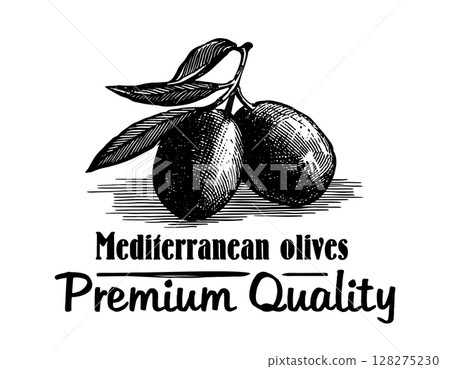 Vintage hand drawn illustration of Mediterranean olives Vintage hand drawn illustration of Mediterranean olives 128275230