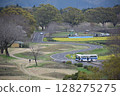 Spring scenery at Saitobaru Park in Saito City, Miyazaki Prefecture 128275275