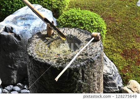 京都市岩倉妙萬寺雪庭築梅 128275649