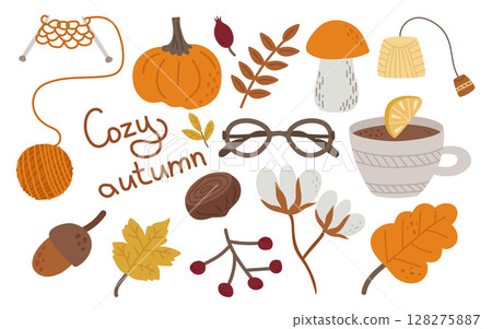 Autumn is a cozy set of elements. Knitting, pumpkin, mushroom, acorn, glasses, cotton, a cup of tea with lemon. Vector illustration collection for falling design or decor. 128275887