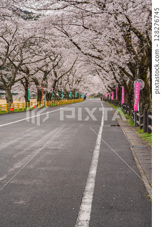 島田市川根町新櫻花隧道的風景（靜岡縣） 128276745