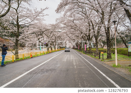 島田市川根町新櫻花隧道的風景(靜岡縣) 島田市川根町新櫻花隧道的風景(靜岡縣) 128276793