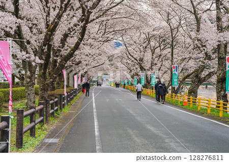 島田市川根町新櫻花隧道的風景（靜岡縣） 128276811