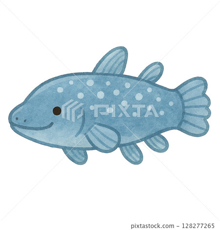 [海洋生物] 腔棘魚的插圖 128277265