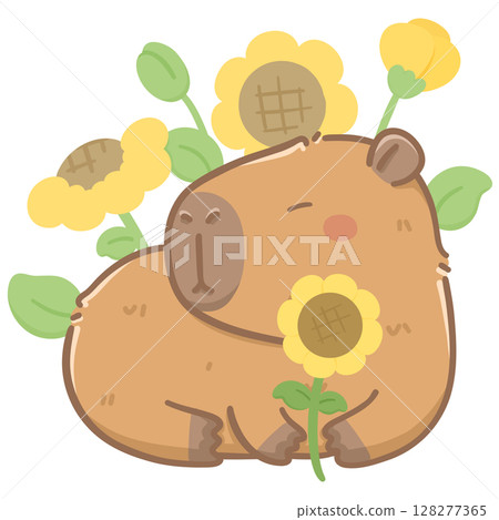 Capybara with sunflower  128277365