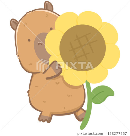 Capybara with sunflower  128277367