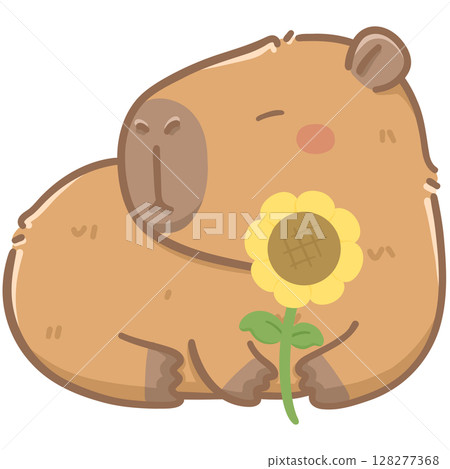 Capybara with sunflower  128277368