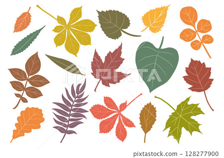 Autumn Leaves Set Vector Illustration on White Background Autumn Leaves Set Vector Illustration on White Background 128277900