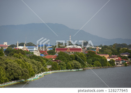 THAILAND RAYONG MANGROVE WALK 128277945