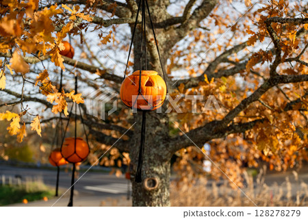 Carved Halloween pumpkins hanging from autumn tree branches Carved Halloween pumpkins hanging from autumn tree branches 128278279