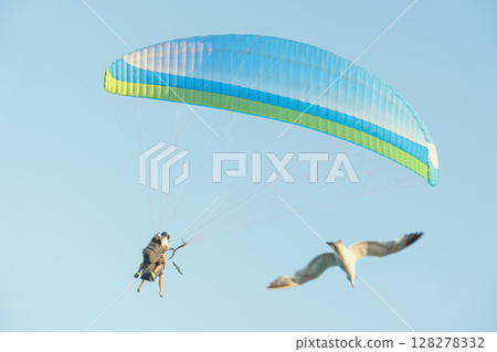 Paragliding with Bird. Paraglider soars high in clear blue sky next to flying seagull, soft focus, real life. Concept of freedom, flight, summer active lifestyle, connection with nature 128278332
