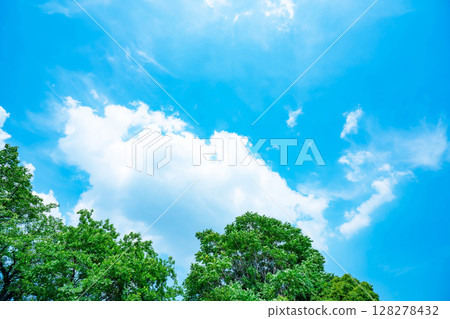 藍天，白雲和樹林 128278432