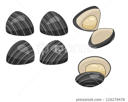 蜆子插圖 128278476