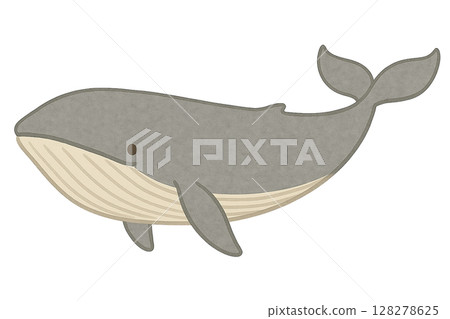 [海洋生物] 藍鯨的插圖 128278625