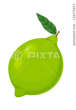 Vibrant green lime with attached leaf, showcasing freshness and health, perfect for food and beverage illustrations, against a clean white background Vibrant green lime with attached leaf, showcasing freshness and health, perfect for food and beverage illustrations, against a clean white background 128278813