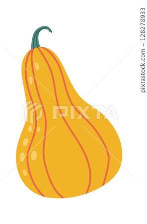 Ripe butternut squash featuring a vibrant orange skin adorned with vertical stripes and a fresh green stem, isolated against a clean white background in a detailed illustration 128278933