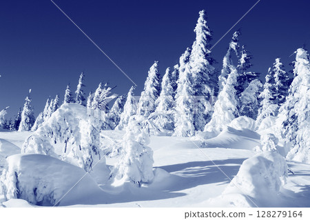 winter winter 128279164