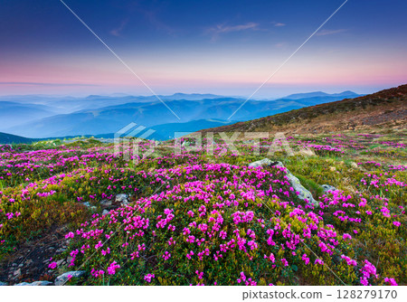 mountains landscape 128279170