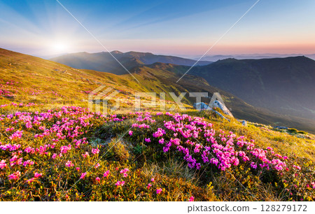 mountains landscape 128279172