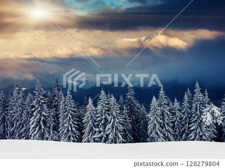 winter winter 128279804