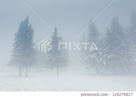 winter 128279827