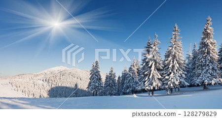 winter 128279829