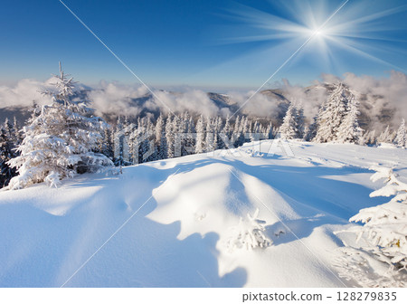 winter 128279835
