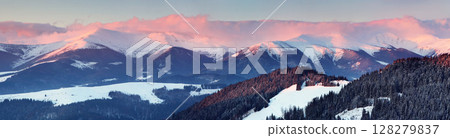 winter 128279837