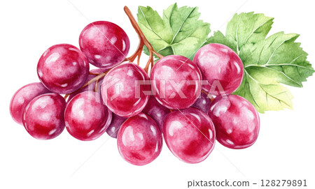 Grape transparent watercolor PNG clipart isolated on white background. 128279891