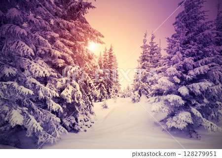 Amazing winter in the mountains 128279951