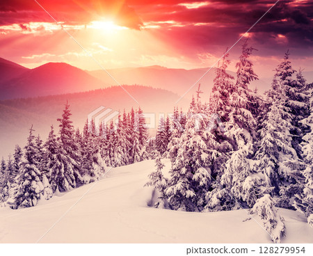 Beautiful winter landscape Beautiful winter landscape 128279954