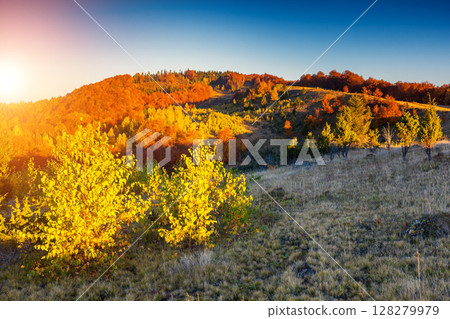 colored autumn mountains 128279979