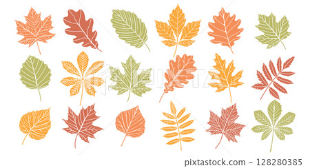 Set of autumn leaves. Collection of autumn leaves of different colors. Illustration. 128280385