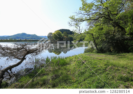 Himeji City, Hyogo Prefecture, Shuhama Shrine 128280514