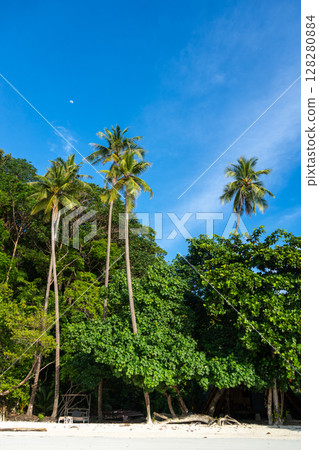 Paradise at Lia beach, Waleakodi Island, Togian archipelago, Sulawesi, Indonesia Paradise at Lia beach, Waleakodi Island, Togian archipelago, Sulawesi, Indonesia 128280884