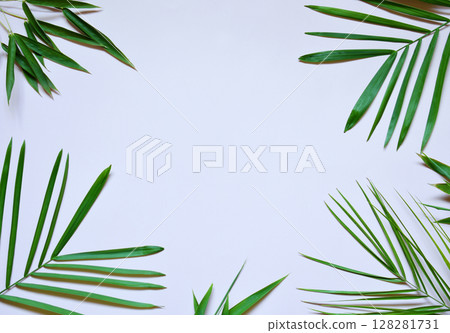 Creative minimal summer idea. Green leaf branches. Palm leaves. Tropical exotic background with empty space for text. Concept creative art. Flat lay, top view. 128281731
