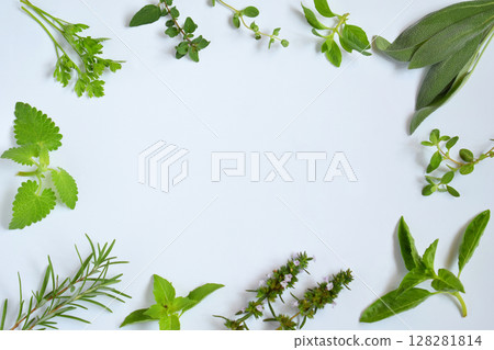 Fresh spicy and medicinal herbs on white background. Border from various herb - rosemary, oregano, sage, marjoram, basil, thyme, mint. Food frame for recipe 128281814