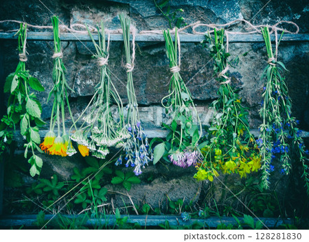 bunches of healing herbs - mint, yarrow, lavender, clover, hyssop, calendula, milfoil, herbal medicine 128281830