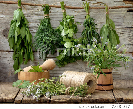 aromatic herbs lovage, dill, cilantro, hyssop, sage, blue fenugreek, thyme aromatic herbs lovage, dill, cilantro, hyssop, sage, blue fenugreek, thyme 128281837