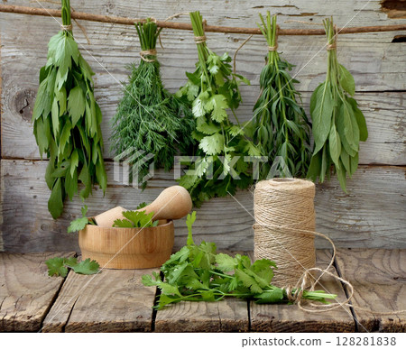 aromatic herbs lovage, dill, cilantro, hyssop, sage, blue fenugreek, thyme aromatic herbs lovage, dill, cilantro, hyssop, sage, blue fenugreek, thyme 128281838