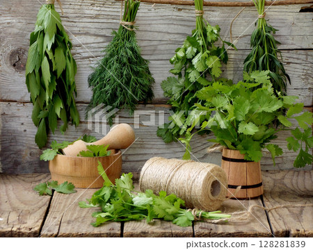 aromatic herbs lovage, dill, cilantro, hyssop, sage, blue fenugreek, thyme aromatic herbs lovage, dill, cilantro, hyssop, sage, blue fenugreek, thyme 128281839