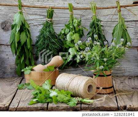 aromatic herbs lovage, dill, cilantro, hyssop, sage, blue fenugreek, thyme aromatic herbs lovage, dill, cilantro, hyssop, sage, blue fenugreek, thyme 128281841