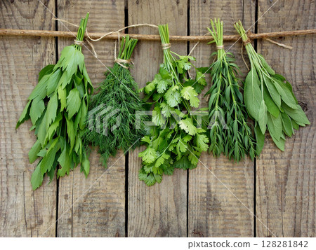 aromatic herbs lovage, dill, cilantro, hyssop, sage, aromatic herbs lovage, dill, cilantro, hyssop, sage, 128281842