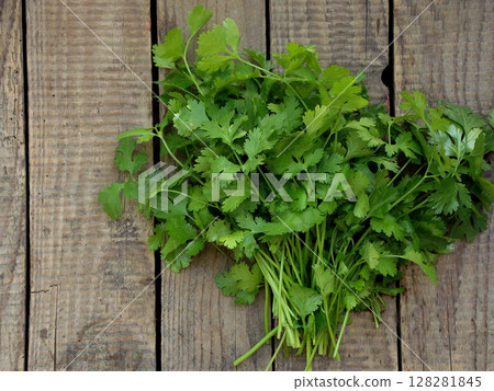 big bunch of cilantro on wooden background big bunch of cilantro on wooden background 128281845