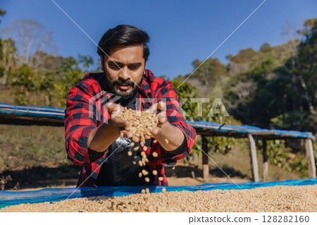 worker inspect and tossing dried coffee beans with hands at farm outdoors. Farmer Man working at farm during process coffee beans dry worker inspect and tossing dried coffee beans with hands at farm outdoors. Farmer Man working at farm during process coffee beans dry 128282160