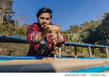 worker inspect and tossing dried coffee beans with hands at farm outdoors. Farmer Man working at farm during process coffee beans dry worker inspect and tossing dried coffee beans with hands at farm outdoors. Farmer Man working at farm during process coffee beans dry 128282162