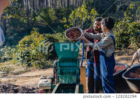 Coffee cherry pulping machine farmer. Coffee cherry pulping machine farmer. 128282294
