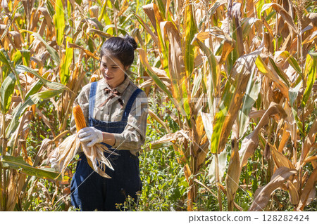 Farmer work in a field with corn. agriculture irrigation concept. 128282424