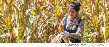 Farmer work in a field with corn. agriculture irrigation concept. 128282425