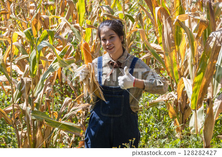 Farmer work in a field with corn. agriculture irrigation concept. 128282427